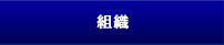 組織